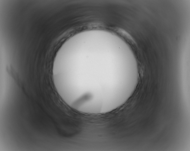 X0000085301015200703301955