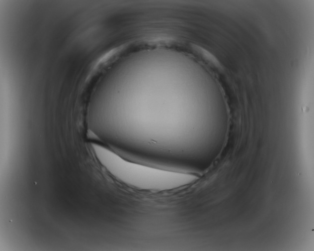 X0000085301016200703301955