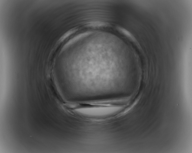 X0000085301017200703301955