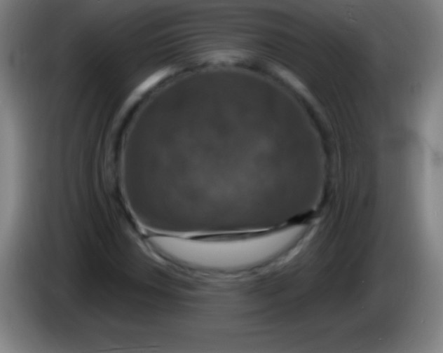 X0000085301018200703301955