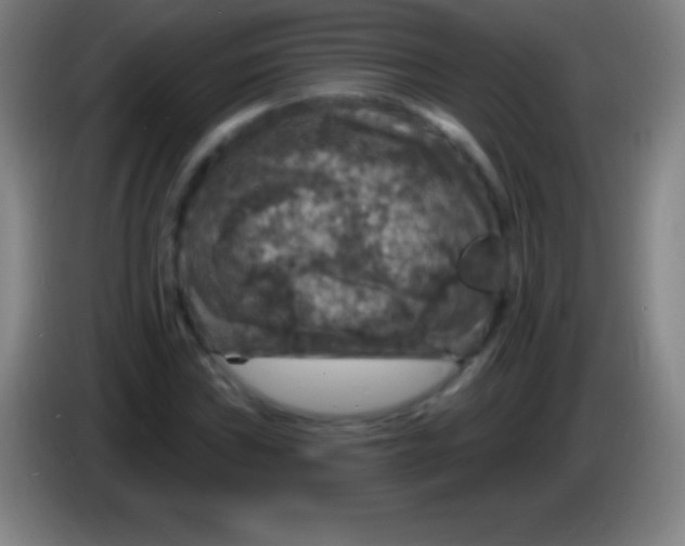 X0000085301019200703301955