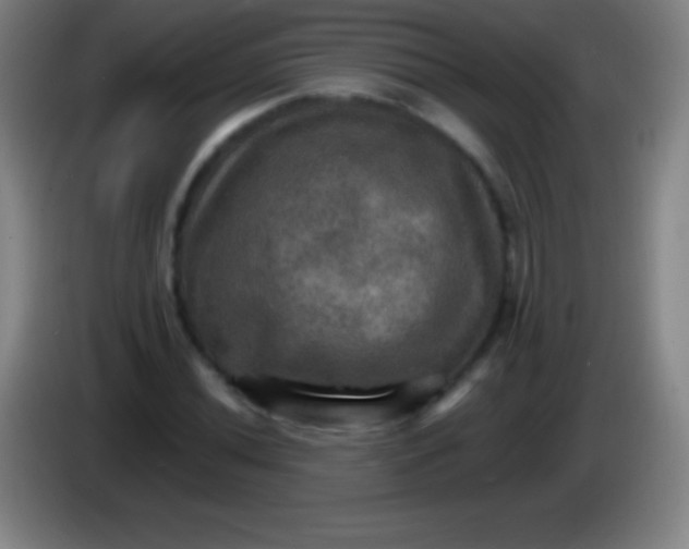 X0000085301020200703301955