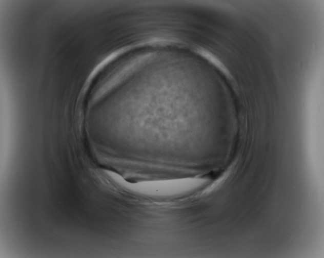 X0000085301021200703301955