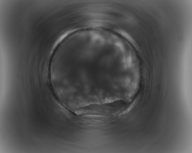 X0000085301023200703301955