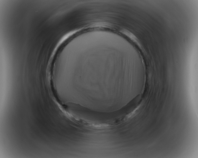 X0000085301024200703301955