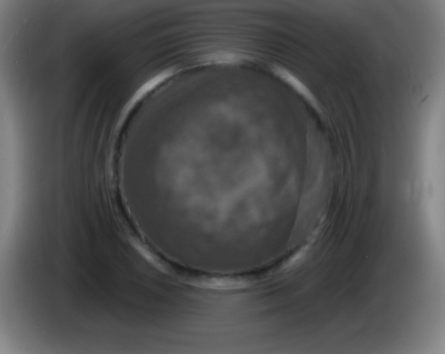 X0000085301026200703301955