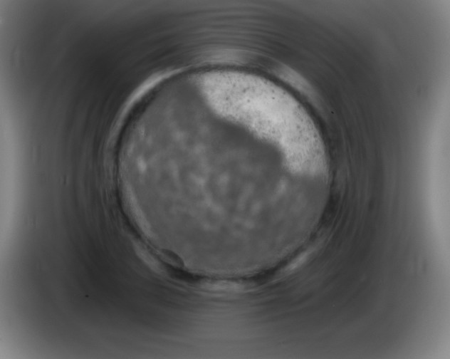 X0000085301027200703301955