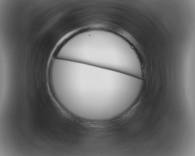 X0000085301028200703301955