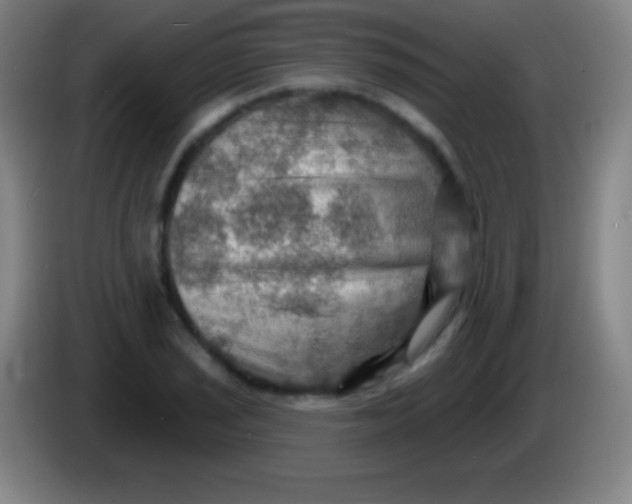 X0000085301029200703301955