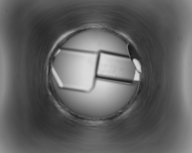 X0000085301030200703301955