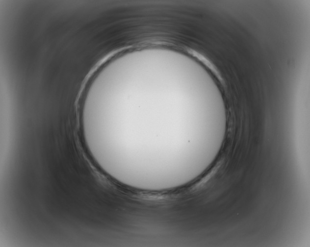 X0000085301031200703301955