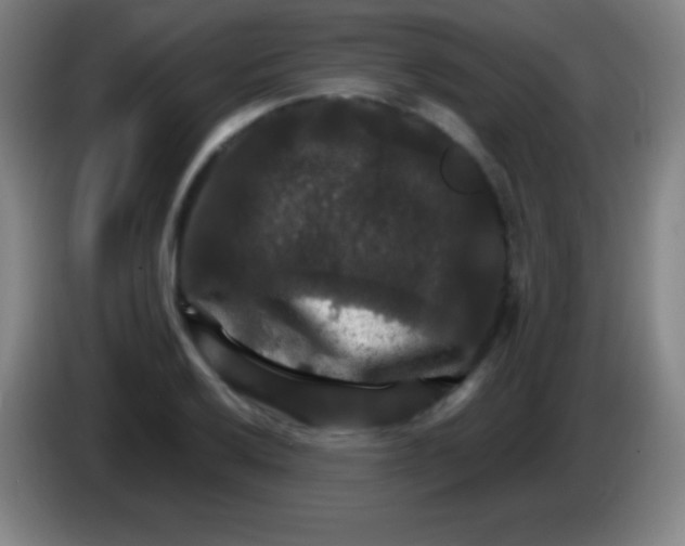 X0000085301032200703301955