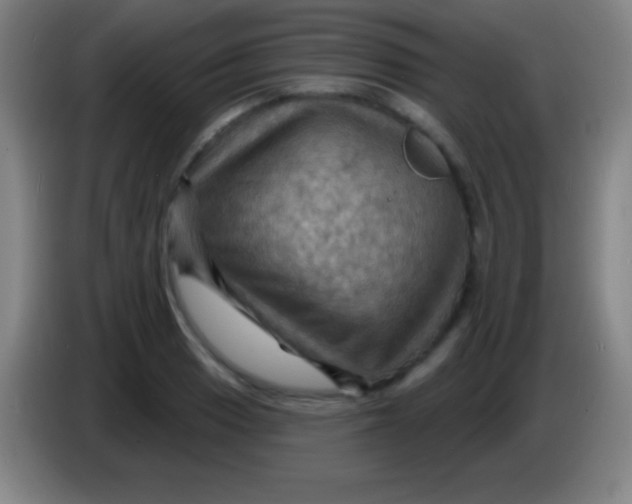 X0000085301033200703301955