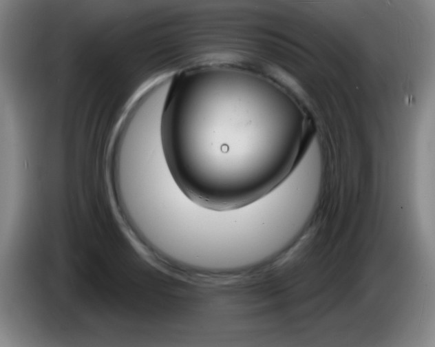 X0000085301034200703301955