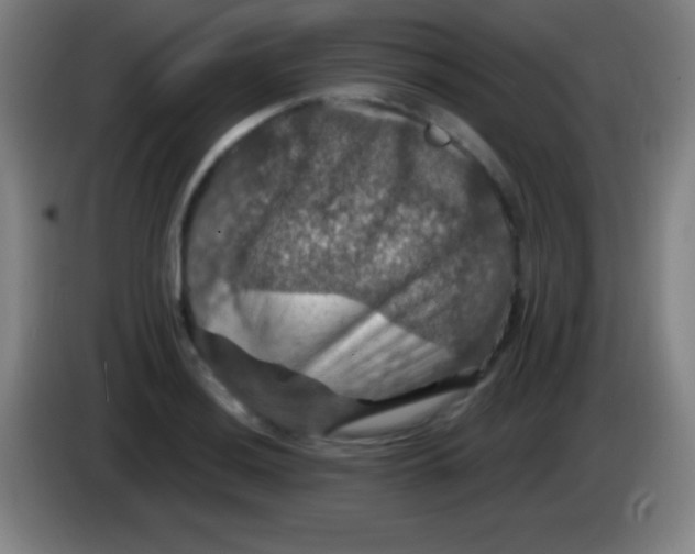 X0000085301036200703301955