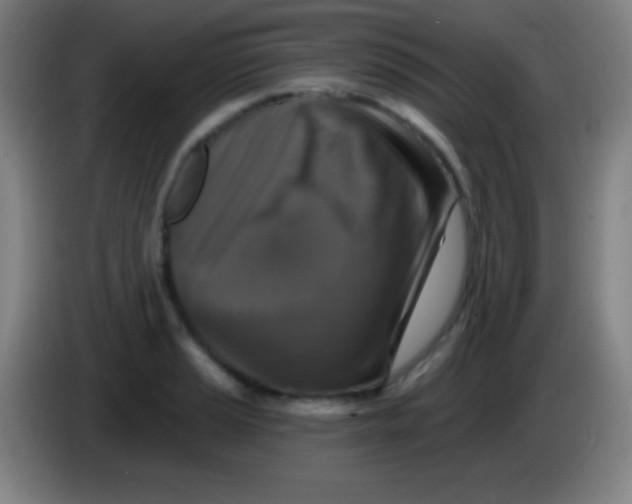 X0000085301037200703301955