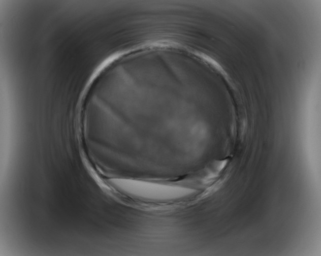 X0000085301038200703301955