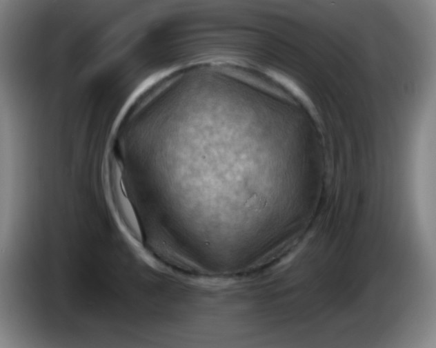 X0000085301040200703301955