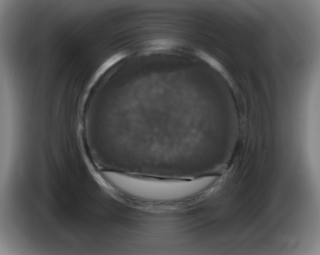 X0000085301042200703301955