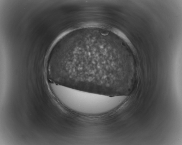 X0000085301043200703301955