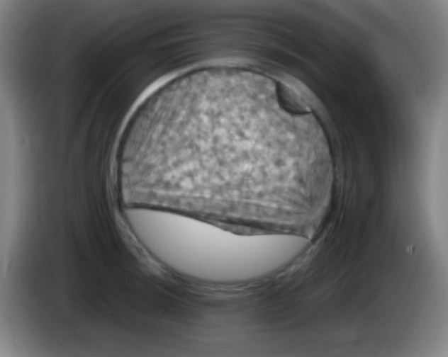 X0000085301044200703301956