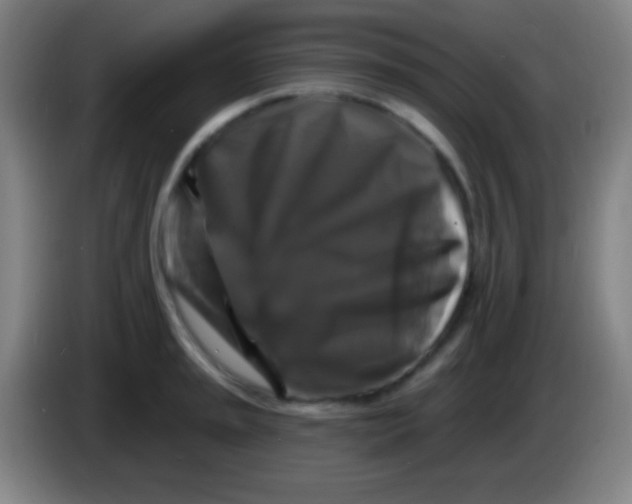 X0000085301045200703301956