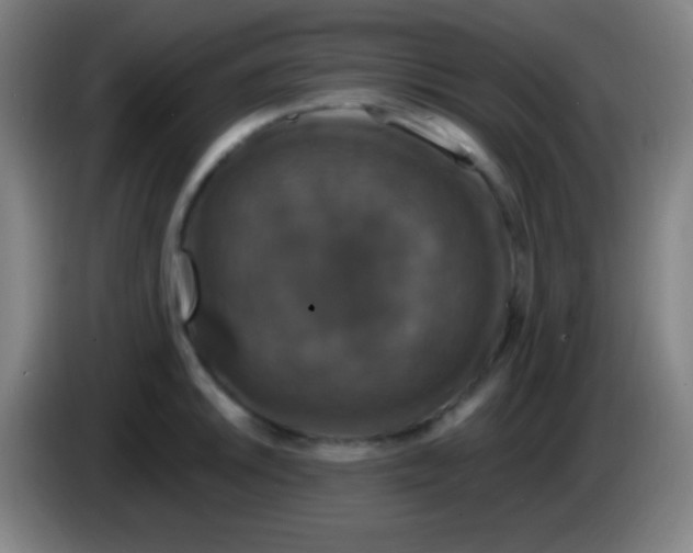 X0000085301046200703301956