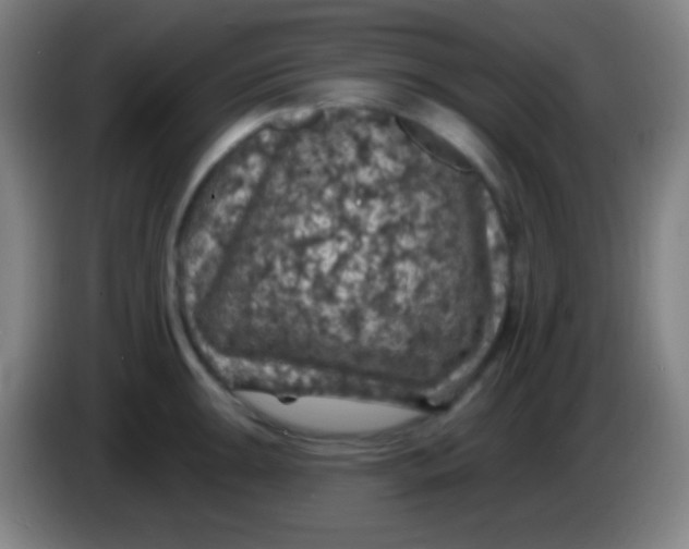 X0000085301047200703301956