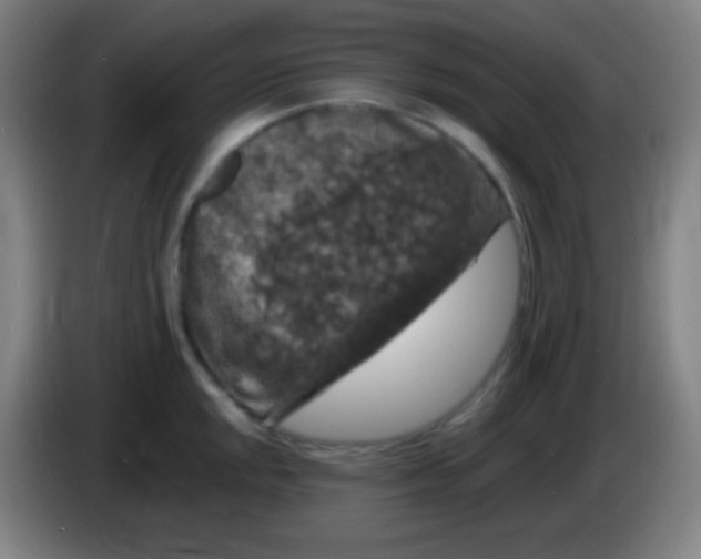 X0000085301048200703301956