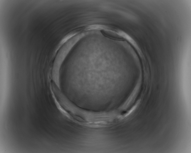 X0000085301049200703301956