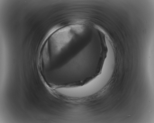 X0000085301050200703301956