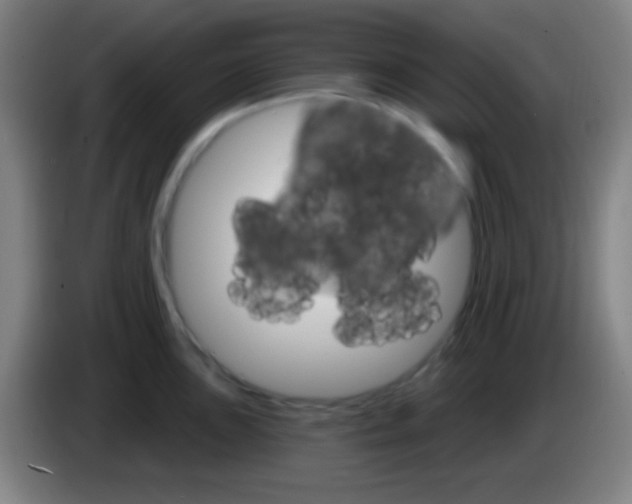 X0000085301051200703301956