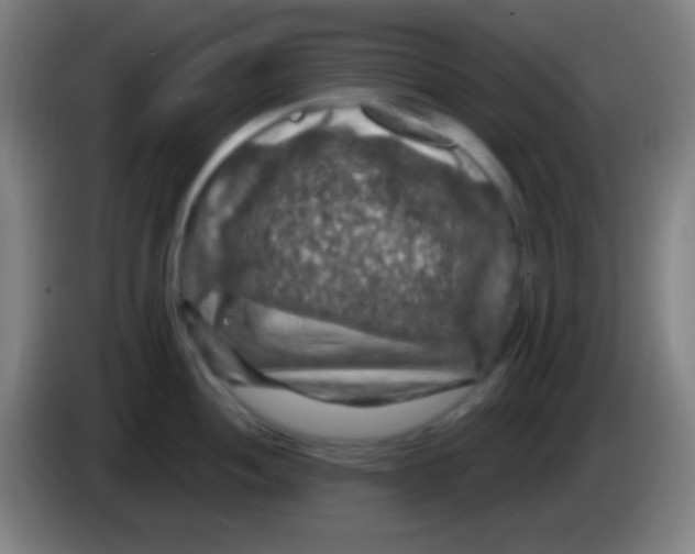 X0000085301052200703301956