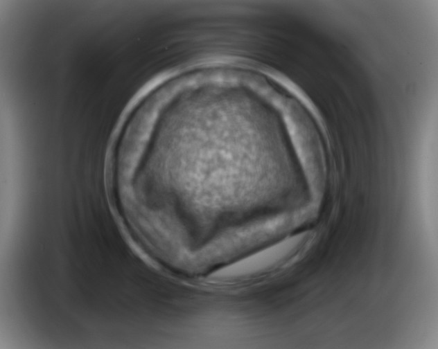 X0000085301053200703301956