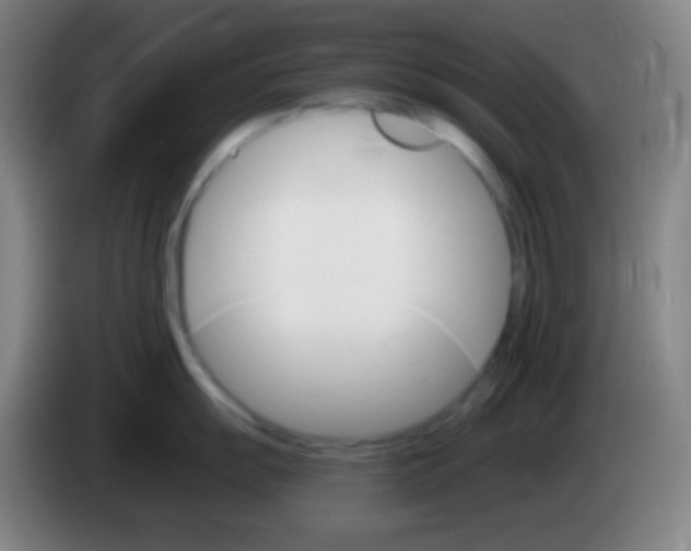 X0000085301055200703301956