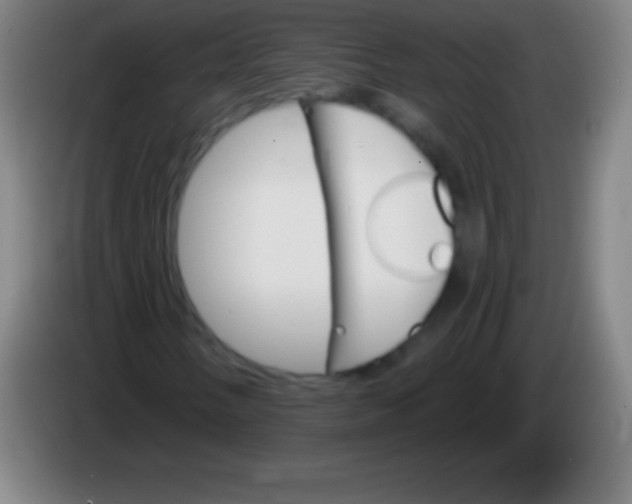 X0000085301058200703301955