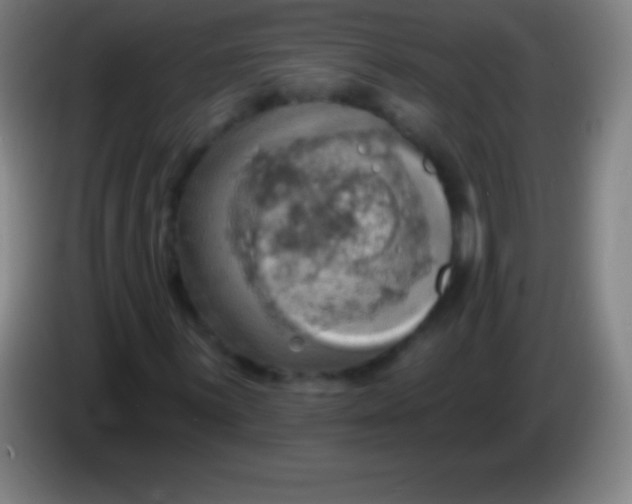 X0000085301059200703301955