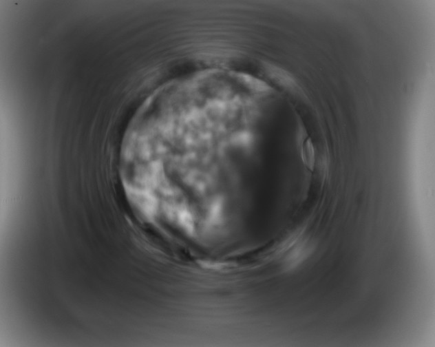 X0000085301060200703301955