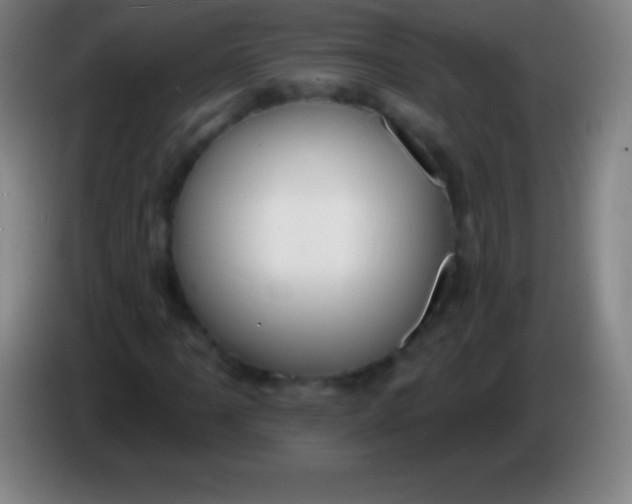 X0000085301061200703301955