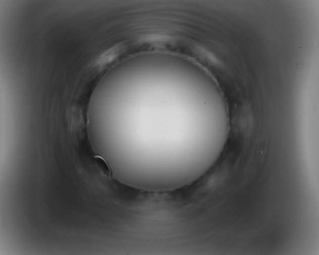 X0000085301062200703301955