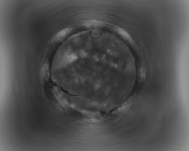 X0000085301063200703301955