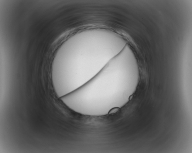 X0000085301064200703301955