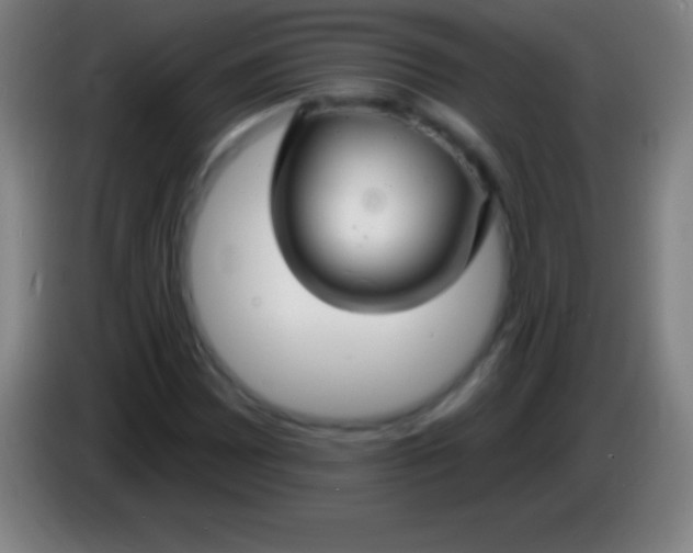 X0000085301065200703301955