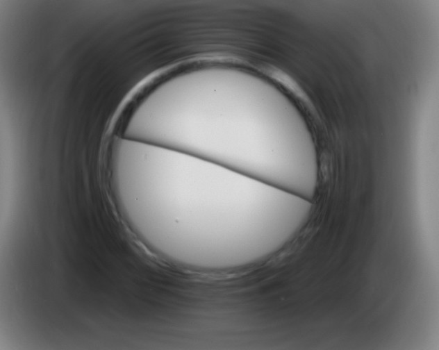 X0000085301068200703301955