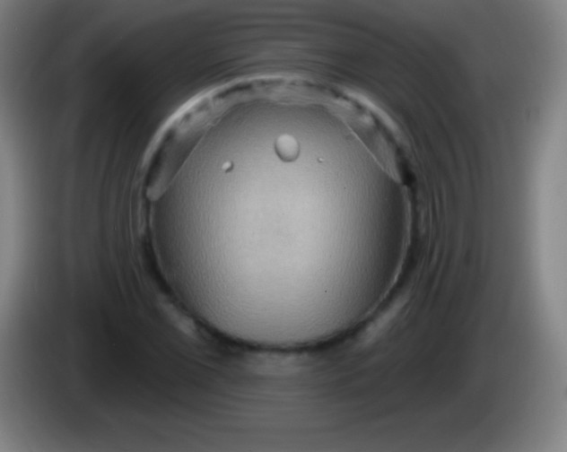 X0000085301069200703301955