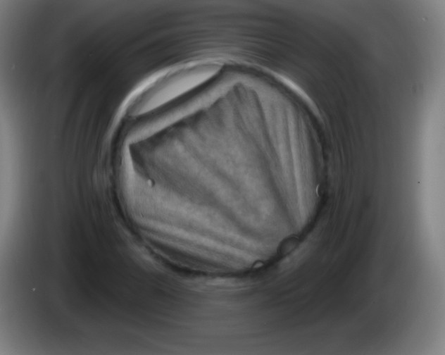 X0000085301070200703301955