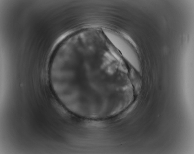 X0000085301071200703301955