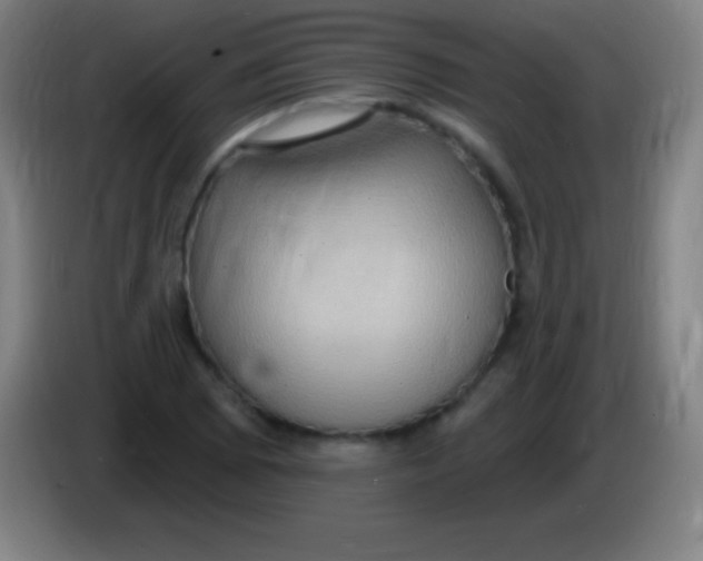 X0000085301073200703301955