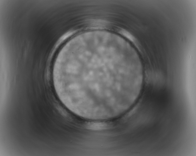 X0000085301074200703301955