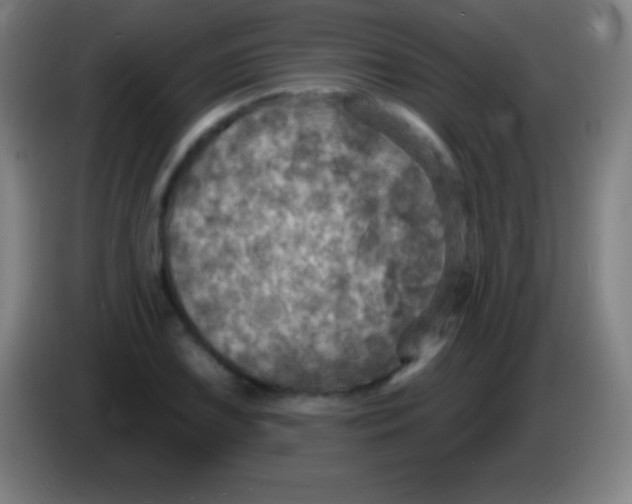 X0000085301075200703301955